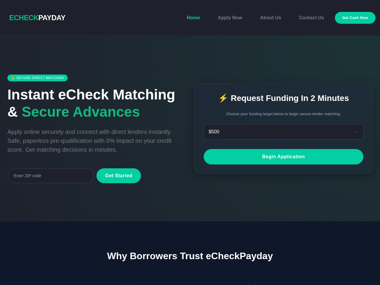 ECheck Payday Loan Website Design