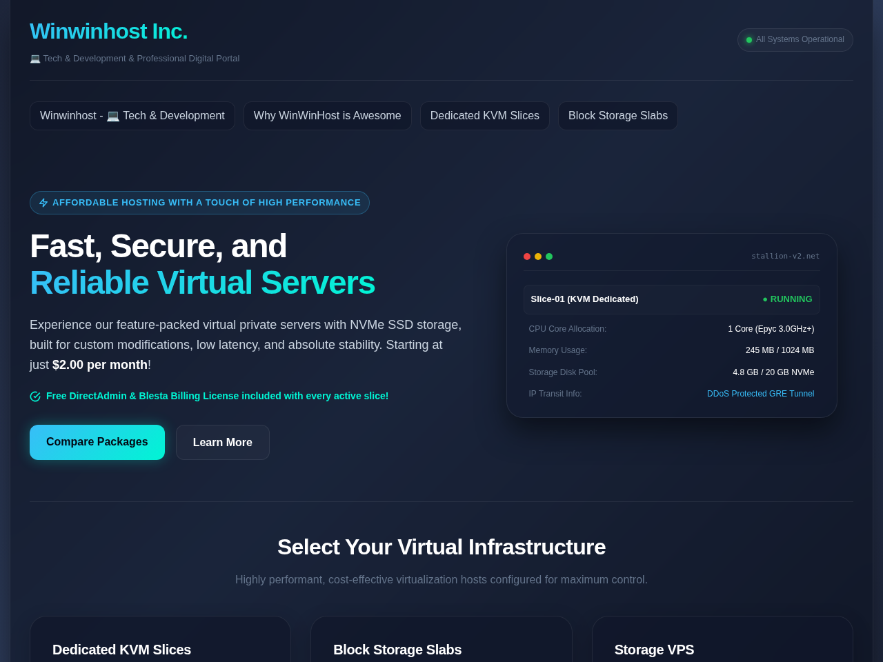 Winwinhost Inc. Website Design